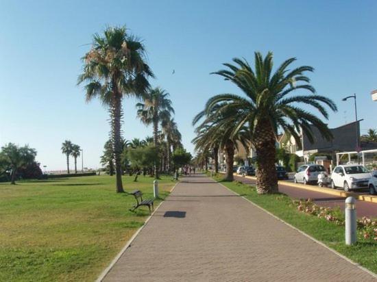 Apartamento La Conchiglia Porto SantʼElpidio Exterior foto